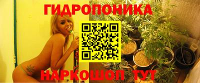 ПСИЛОЦИБИНОВЫЕ ГРИБЫ Лесосибирск