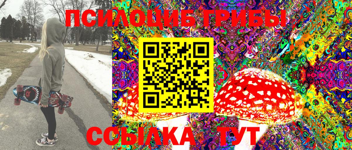 Псилоцибиновые грибы Cubensis Тула